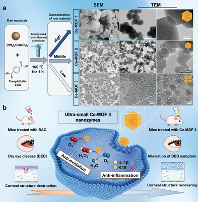 干眼治療新路徑!復(fù)旦團(tuán)隊(duì)研發(fā)納米酶"刷"掉過(guò)量眼表活性氧