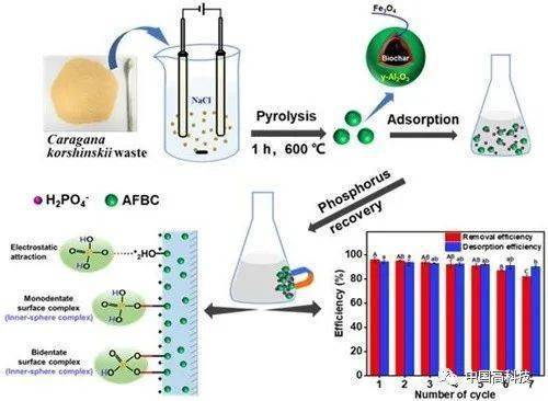 前沿科技 中科院科學家在生態(tài)環(huán)境治理新型材料研發(fā)方面取得系列進展