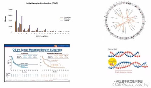 生物基礎 多組學聯(lián)合分析