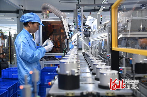 廊坊 多向發(fā)力 激發(fā)民營經濟活力