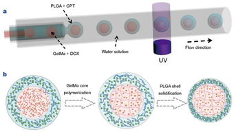 生物材料的多樣性和dds設計 藥物傳遞系統 ?？瘓D文詳解