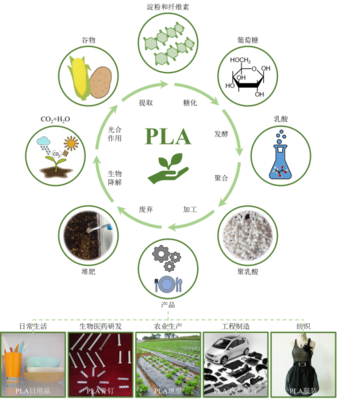 丁建勛 李鴻杰 楊佳臻(中國(guó)科學(xué)院長(zhǎng)春應(yīng)用化學(xué)研究所):新時(shí)代生物質(zhì)降解材料聚乳酸,助力綠色環(huán)保的&ldquo;未來(lái)之鑰&rdquo;_作品展示