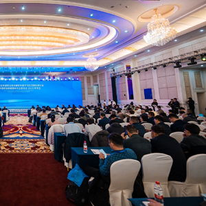 第十屆生物基與生物分解材料技術(shù)和應(yīng)用國(guó)際會(huì)議在蕪召開,鵬力塑造獲授行業(yè)展鏈貢獻(xiàn)獎(jiǎng)